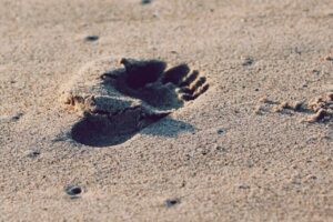 footprint-things-to-know-525x350